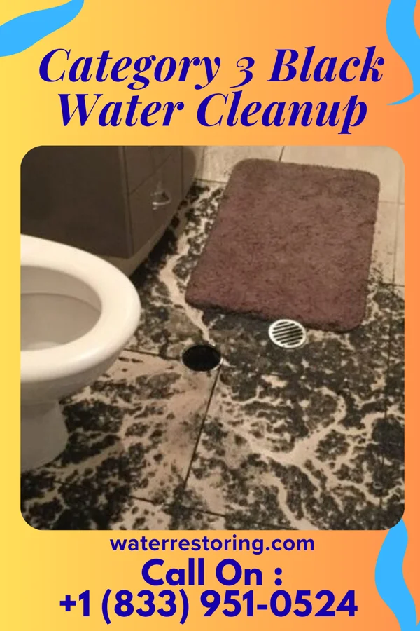 Category 3 Black Water Cleanup in Saltillo, MS
