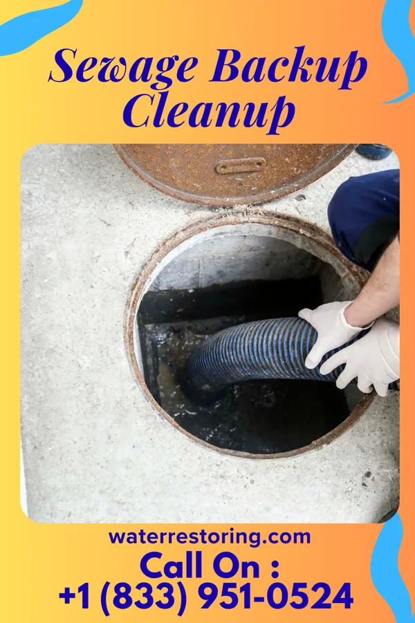 Sewage Backup Cleanup in Saltillo, MS